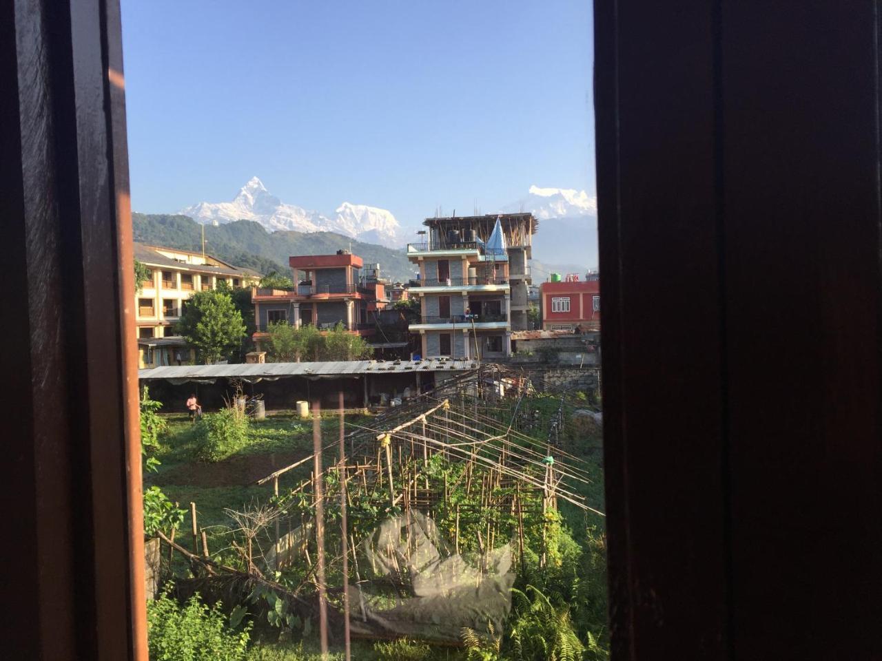 Obey Guest House Pokhara Eksteriør bilde